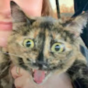 Meet your Posher, Mellon